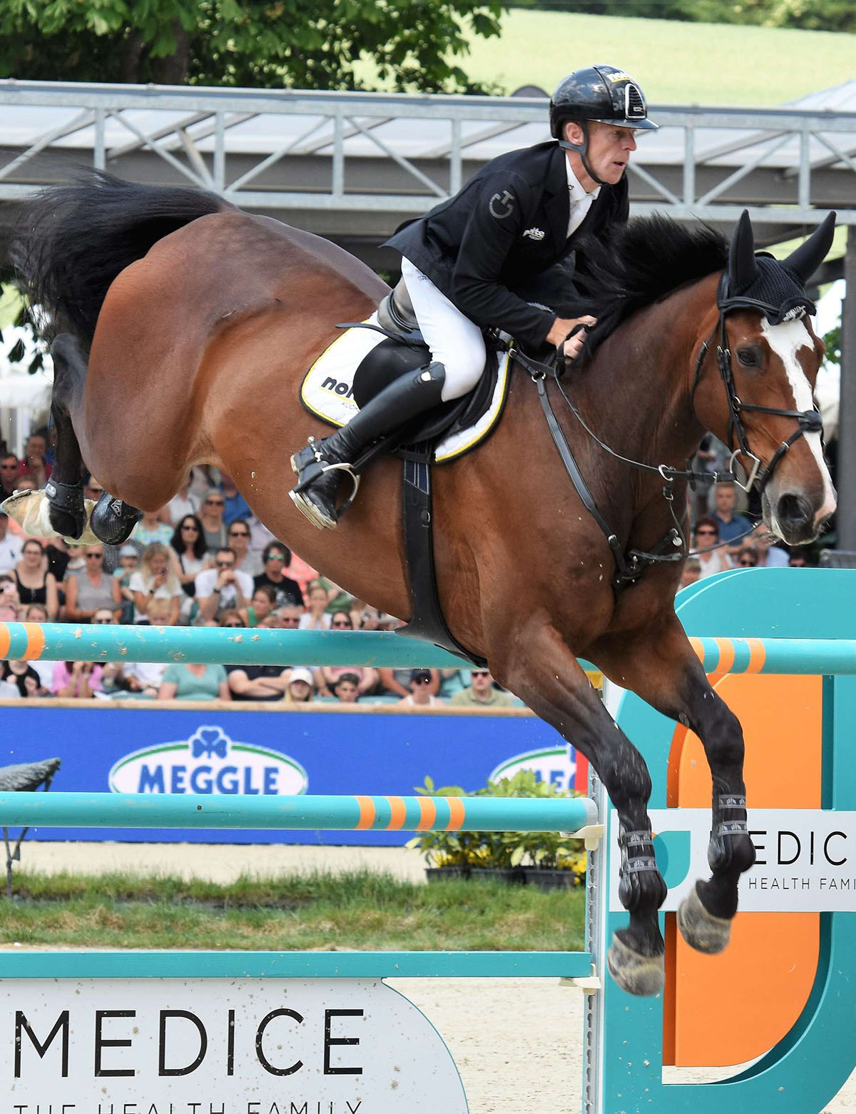 Priam du Roset (Plot Blue x Tanael Du Serein), competed by German showjumper Marcus Ehning